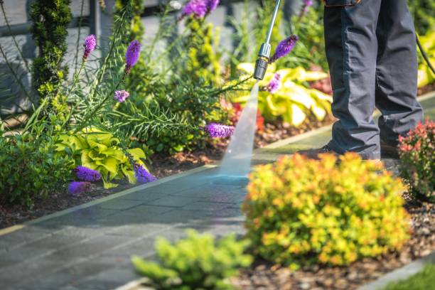  Weston, NJ Pressure Washing Pros